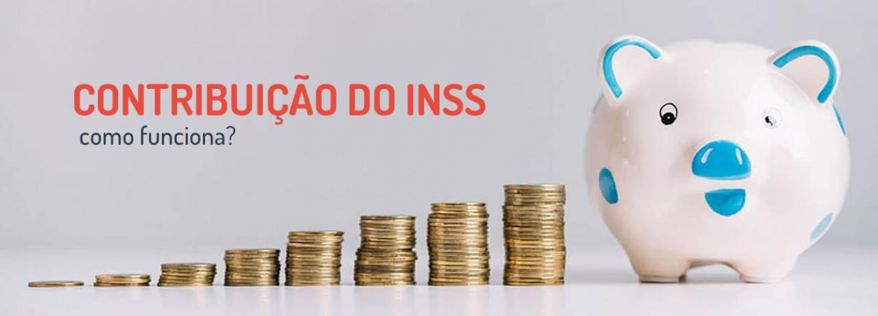 [Entenda o que é e como funciona a contribuição do INSS]