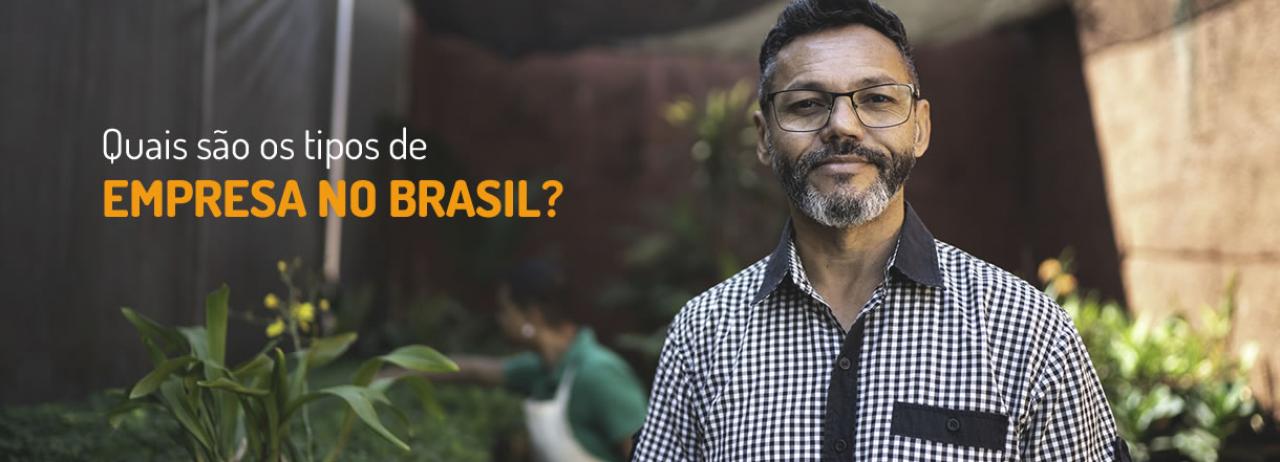 [Quais são os tipos de empresa no Brasil?]